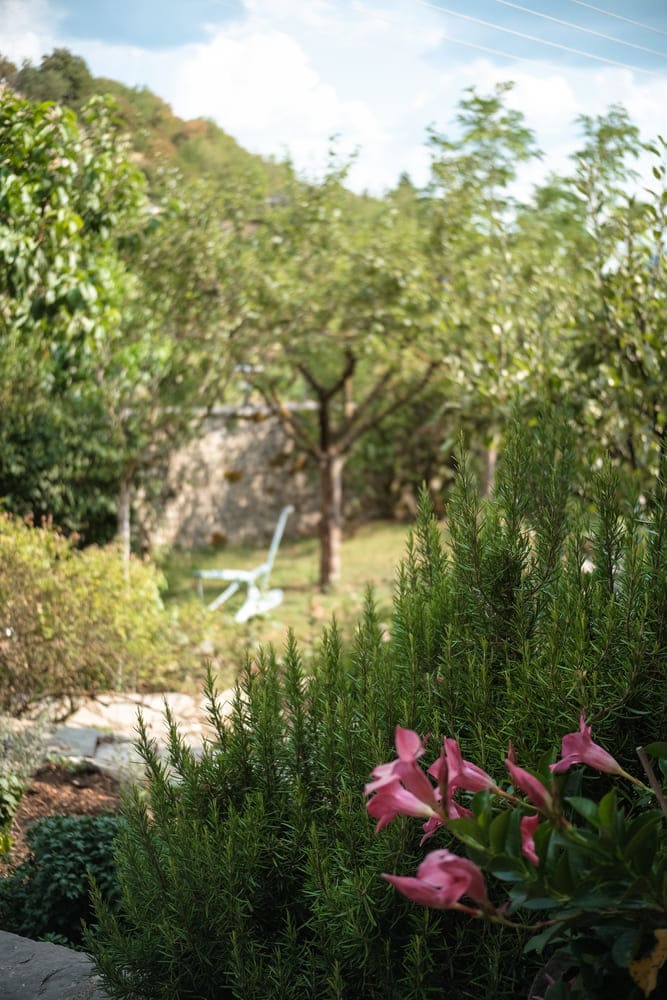 common spaces, porfyron hotel, zagori, greece
