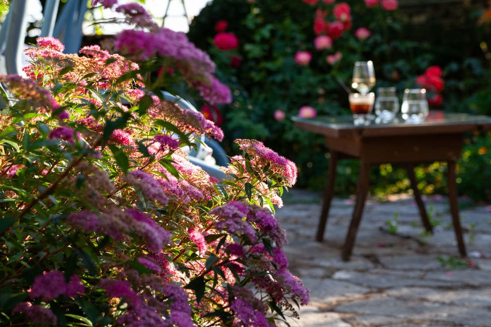 common spaces, porfyron hotel, zagori, greece