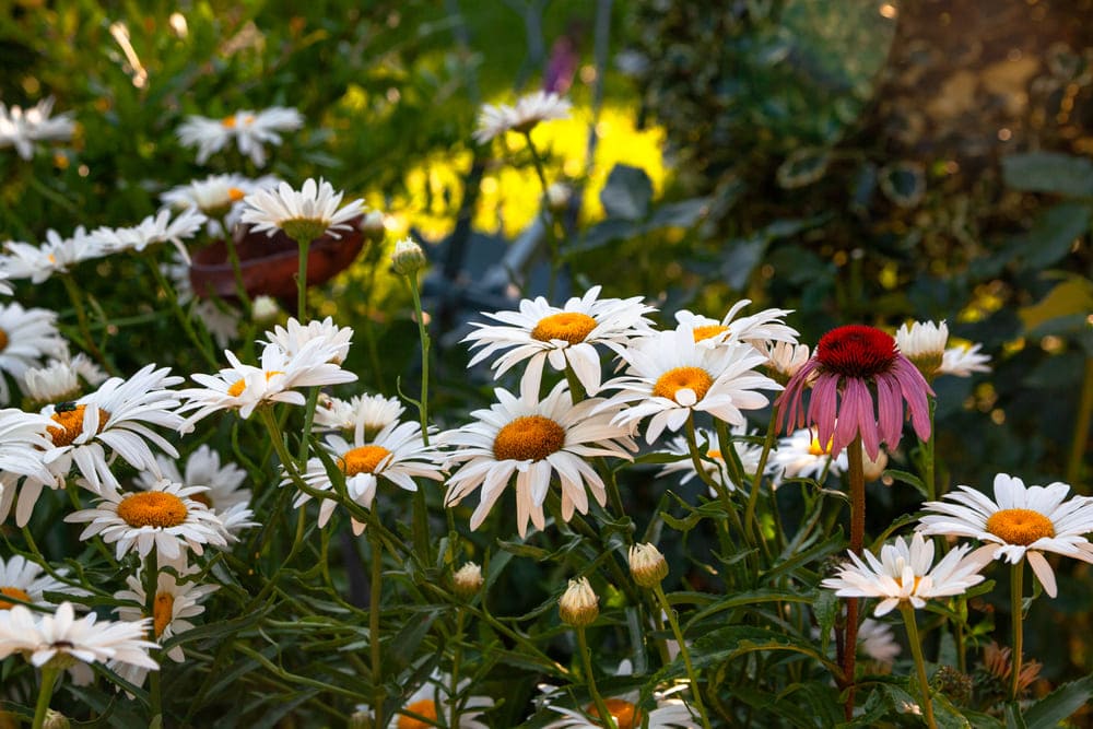 common spaces, porfyron hotel, zagori, greece