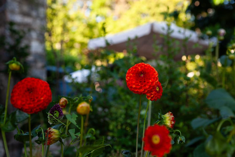 common spaces, porfyron hotel, zagori, greece