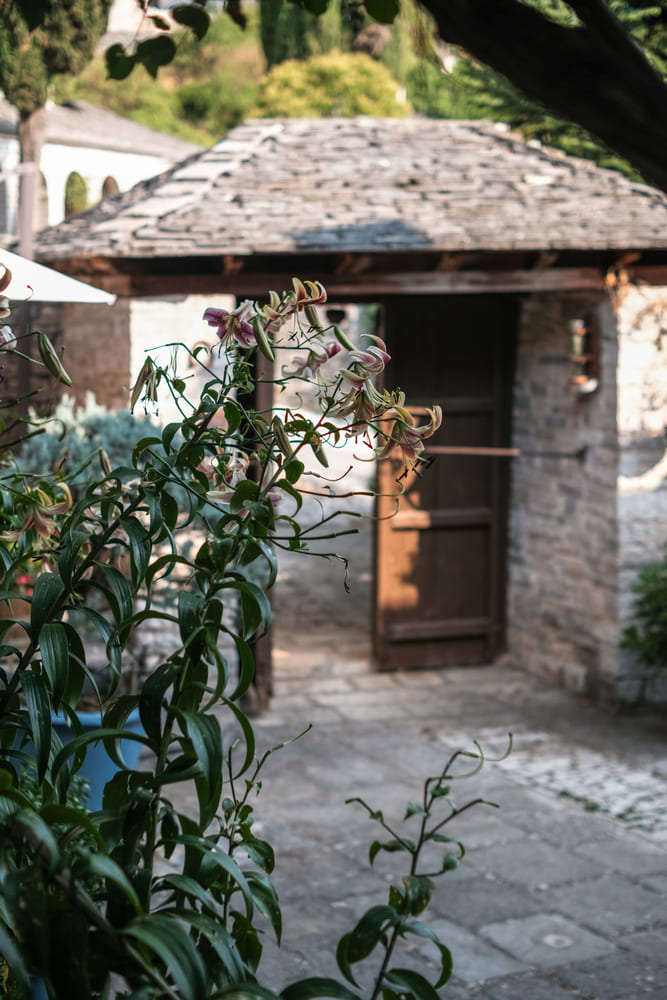 common spaces, porfyron hotel, zagori, greece