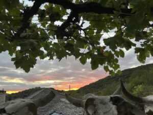 De herfst is natuurlijk ook het seizoen van de oogst. Want er valt veel te oogsten in de herfst in de Zagori