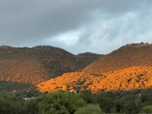 De nieuwe website is klaar, https://porfyron.gr/. Alle lof voor Staas die er zolang mee bezig is geweest, en de meeste foto’s heeft gemaakt. 