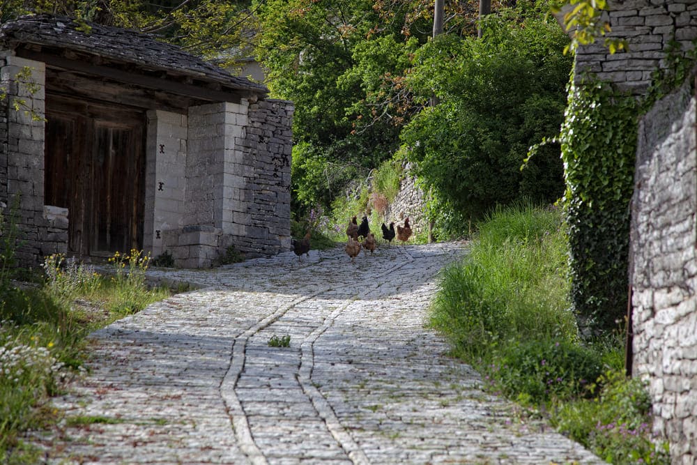 stone trek in Zagori