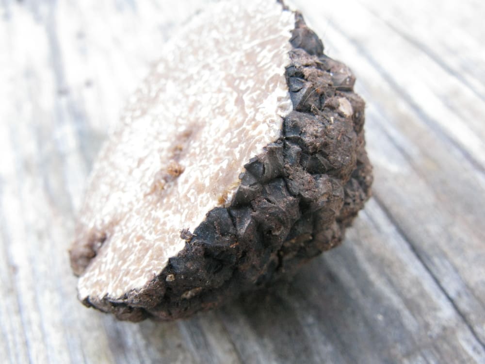 black truffle
