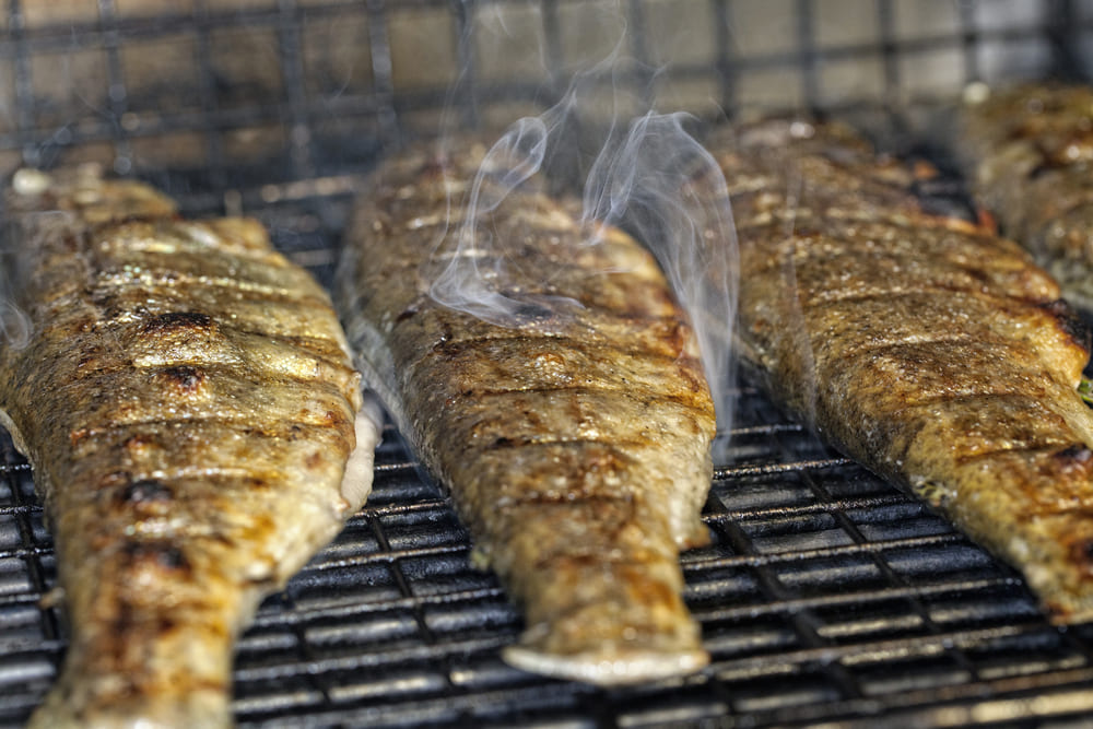 wild trout, Zagorochoria