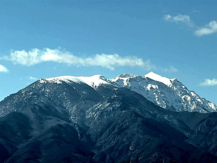 Porfyron Nieuwsbrief Lente 2026