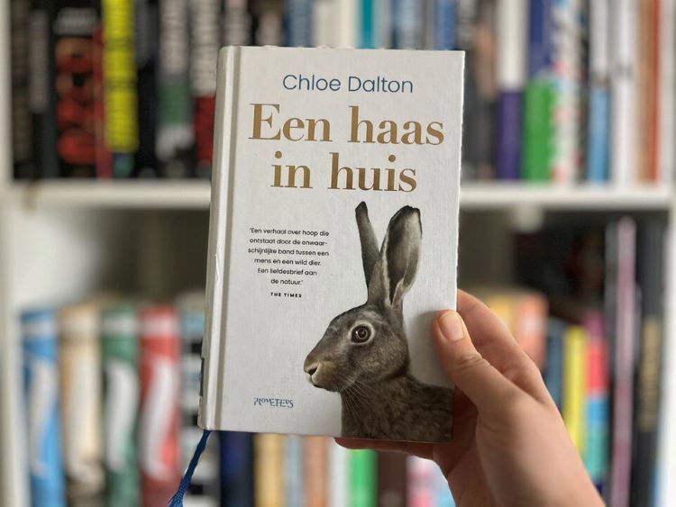 Porfyron Nieuwsbrief Lente 2026